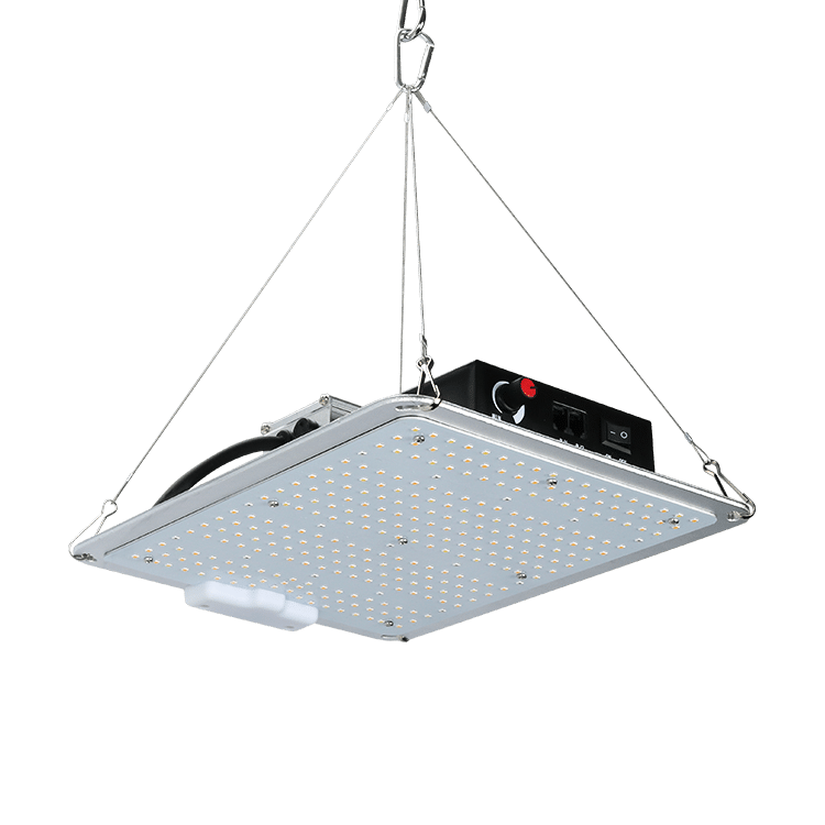 LED Grow Light SF Series